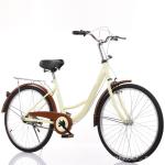 Upgrade Your Urban Travel with Hard Frame Non-rear Damper City Commuter Bikes