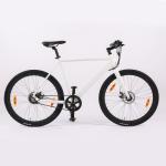 Urban Road Electric Bicycle with TRUCK Rear Drive 36V 250W Motor and Aluminum