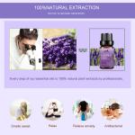 Lavender Home Fragrance Essential Oils Compound 100ml OEM 100%