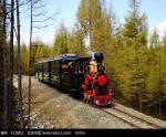 Locomotive Steam Engine Train Rides Day Trip Train Rides For Theme Park
