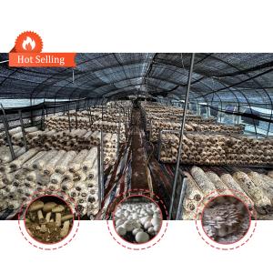 Wholesale Agricultural Mushroom Green House Shade Net Blackout Greenhouse For Mushroom Cultivation from china suppliers