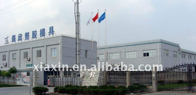Customized processing of various injection mold suppliers