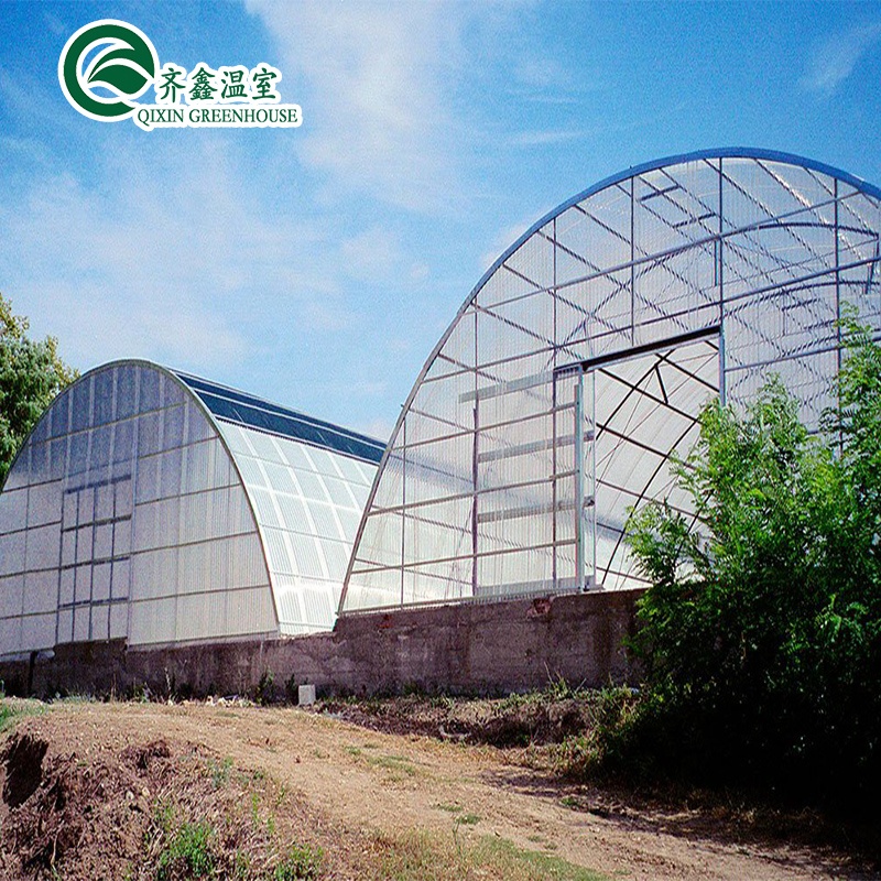 Single Layer PO Commercial Multi Span Polycarbonate Sheet Greenhouse for Agriculture