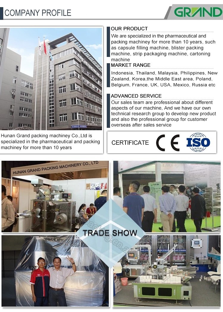 Automatic Powder Capsule Filling Machine Pharmaceutical NJP 600 220V/380V