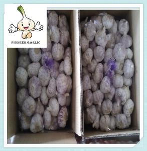 Wholesale China Cheapest Fresh Garlic Best Quality Jinxiang super garlic from china suppliers