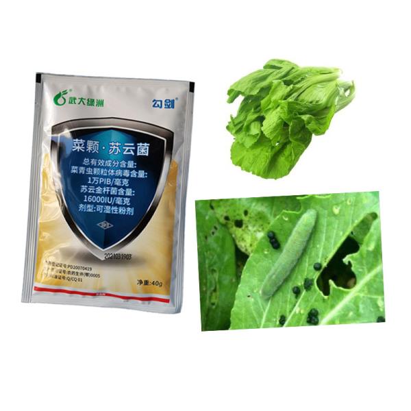 Biological Vegetable Insecticide Powder Liquid Kills Cabbage Worm Diamondback