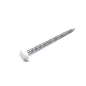 Wholesale 50mm X 2.65mm Annular Ring Shank Plastic Cap Roofing Nails Stainless Steel A4 Grade from china suppliers