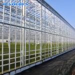 Heavy Duty Gaivalnized Steel Pipe Glass Multi Span Greenhouses Venlo Type