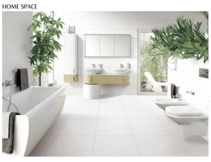 Wholesale ISO13006 Antibacterial Full Body Porcelain Tiles White Mould Living Room 9.5mm from china suppliers
