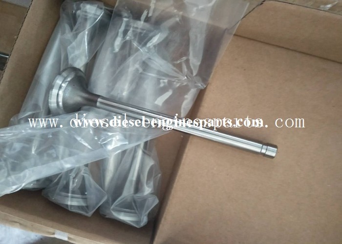 Navistar DT466 Intake Exhaust Valves