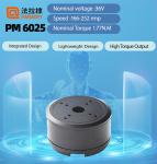 Faradyi High Quality Permanent Magnet 36V PM 6025 Brushless Bldc ExternalRotor