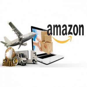 Wholesale Amazon fba cargo delivery transportation from China  fba shipping agent from china to amazon Japan from china suppliers