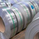 DIN 2507 Stainless Steel Strip Spring 19mm Flat Used In Food Vessel