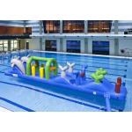 Colorful Double Dolphin 12m Aqua Run Inflatables , Blow Up Water Islands For
