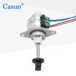 Linear Permanent Magnet Stepping Motor 280g.cm 4 wires 12V for Beauty Equipment