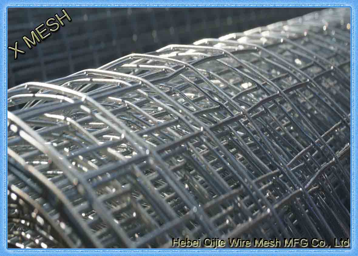 welded wire mesh