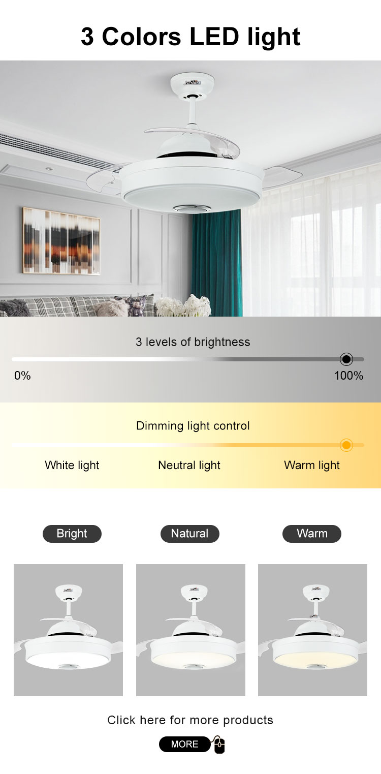 Hidden Blades Ceiling Fan with 5 Speeds and Modern Design in Black/White/Multi Colors