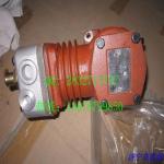 Part No.: 612600130043 612600130496 Use For XCMG ZL50G WD615 Engine / EURO 3 Air