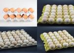 Paper Pulp Molding Machine Egg Tray Manufacturing Machine Low Energy Consumption