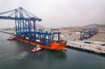 FOB Full Container Load Trading Term from Vietnam/Thailand/Indonesia/Singapore