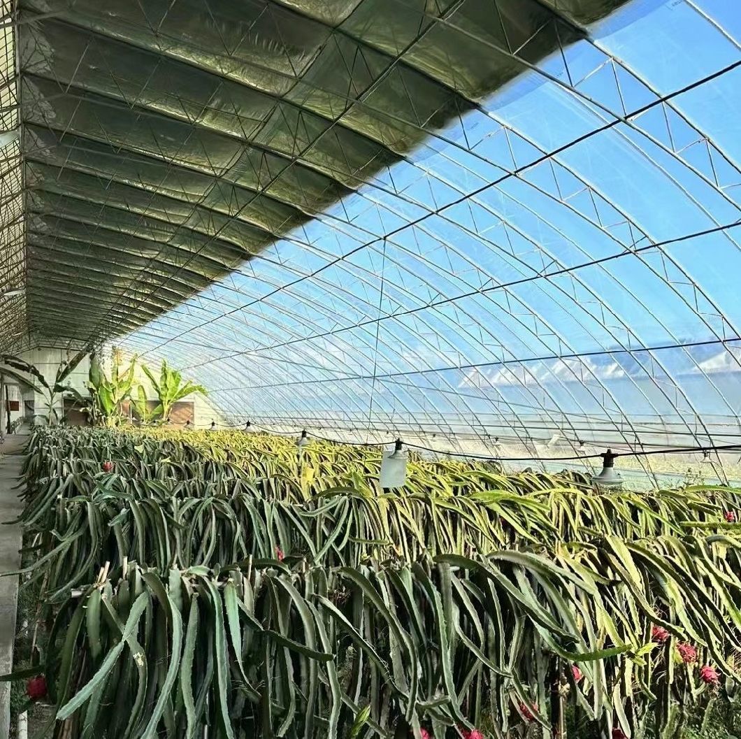 Customization Snow Vibrator Greenhouse for Tomato Planting