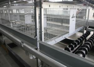 Wholesale Poultry Farm A Frame Layer Cages 1200×625×480 Mm Q235 Standard Steel Material from china suppliers