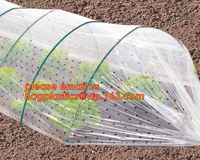 Transparent Low Tunnel Film Perforated For Culture Of Seedling Maturing Vegetables perforated red plastic mulch
