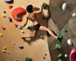 Upgrade Your Outdoor Playground with XL Size Rock Climbing Wall Holds Contact