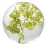 Nature Clear Flower Paperweight , Resin Floral Paperweight Ball