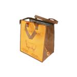 Non woven cooler bag/non woven bag