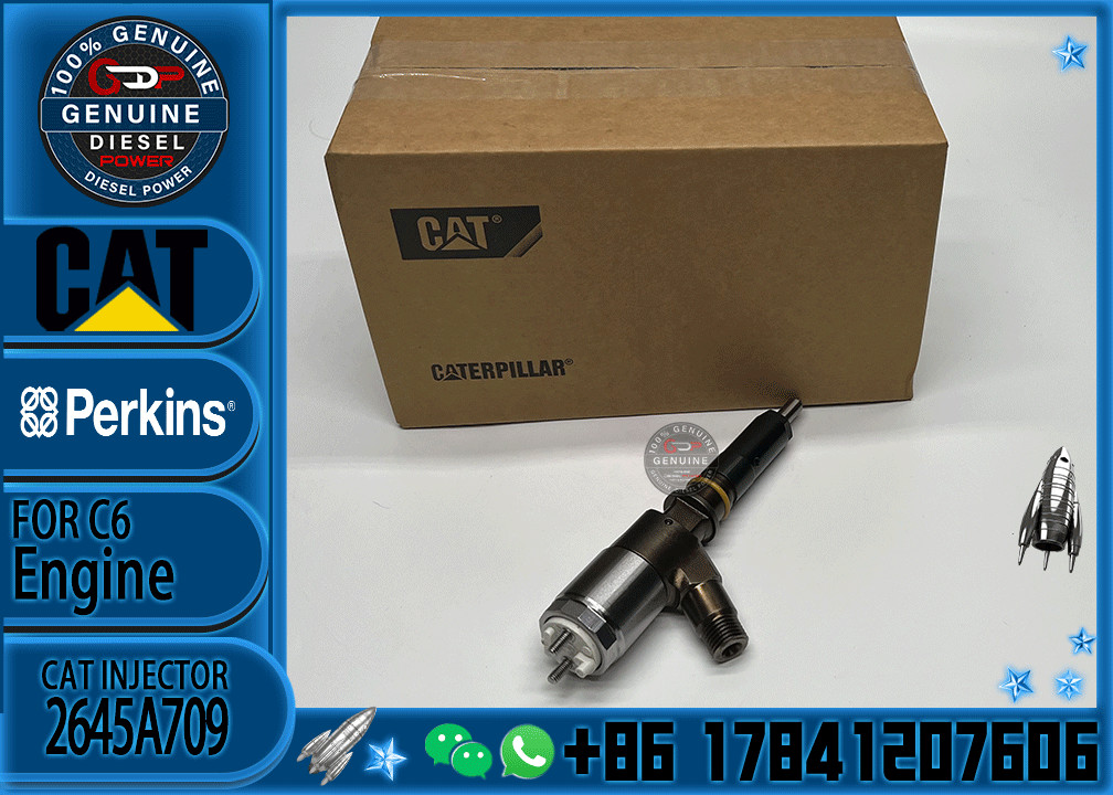 New Diesel Fuel Injectors nozzles 321-0990 2645A743 10R-7668 2645A705 2645A709 injector for Caterpillar C6.6 Perkins 110