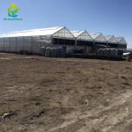 Commercial Blackout Light Deprivation Greenhouse Medical Plants Growing
