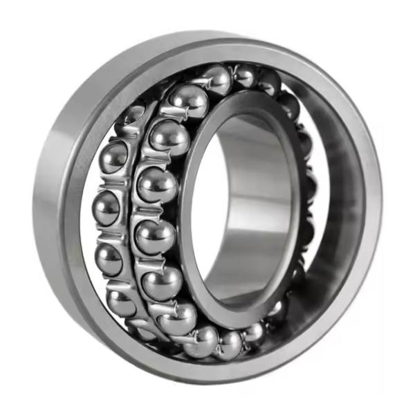 1202TNI 15*35*11mm High Performance Self-Aligining Ball Bearing Superior Ball