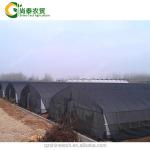 Hot Dip Galvanized Steel Tube Frame Single Span Agricultural Greenhouse For Grow