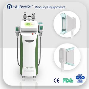 Wholesale salon use cryolipolysis slimming machine for cellulite removal / skin tightening from china suppliers