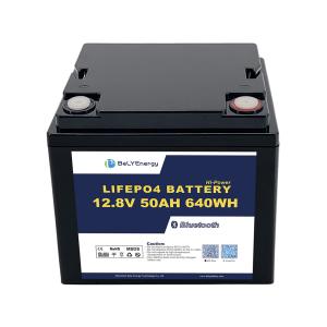 Wholesale 12V 50AH LiFePo4 Battery With And Smart BMS For Starting And Energy Storage On Boats from china suppliers