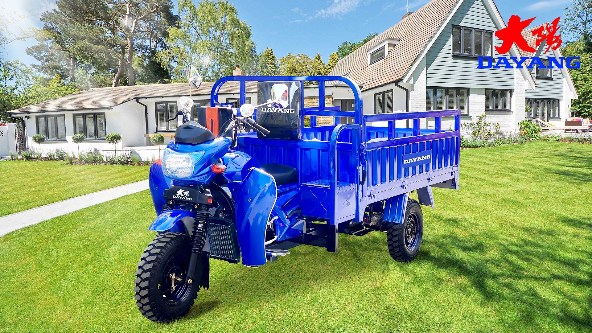 Motorized 800 W DAYANG 300 Petrol 3 Wheel Motorcycle and Tricycle for Heavy Loading