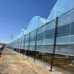 Vegetable Production Po Film Greenhouse with Water Pipe System and Low Shipping