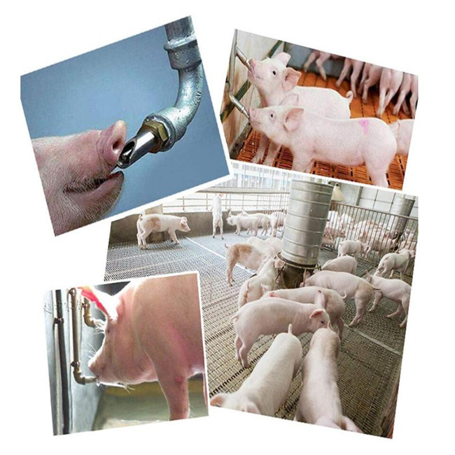 Thread 20mm Pig Water Drinkers Automatic Pig Waterers NPT 1/2"