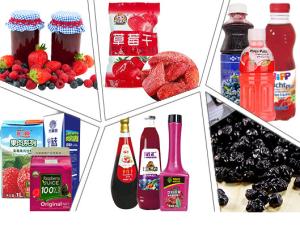 Wholesale Stainless Steel 304 440V 25T/H Berry Processing Equipment from china suppliers