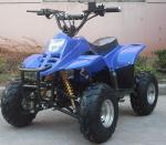 electric ATV 500w,800w,1000w. 36v(48V), 17A.Popular model,good quality
