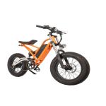 750W Off-Road Electric Fat Tire Bike with 48V 13Ah Lithium Battery and 180kg