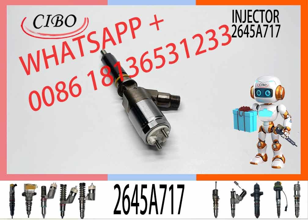Fuel Injector 2645A745 2645A717 2645A733 320-0670 2923770 306-9370 3101852 10R-7670 For C+ C6.6 1106D