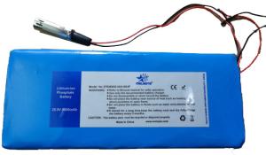 Wholesale 25.6V LiFePO4 Electric Vehicle Battery Pack 9000mAh, 230Wh from china suppliers