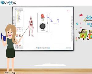 China 83inch Electronic Smart Interactive Whiteboard Iwb Board 20 Points on sale