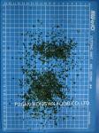 Dehydrated Dried Sea Lettuce Edible Algae Sprinkle Superfood Spice HACCP