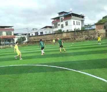 Eco Friendly Artificial Grass Soccer Field Dark Green Or Light Green Option