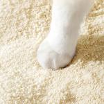 100% Natural Tapioca Cat Litter Bulk Plant Cat Litter Low Tracking