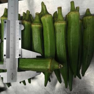 Wholesale 200g×5 FDA Certified IQF Frozen Okra IQF Frozen Food For Supermarkets from china suppliers