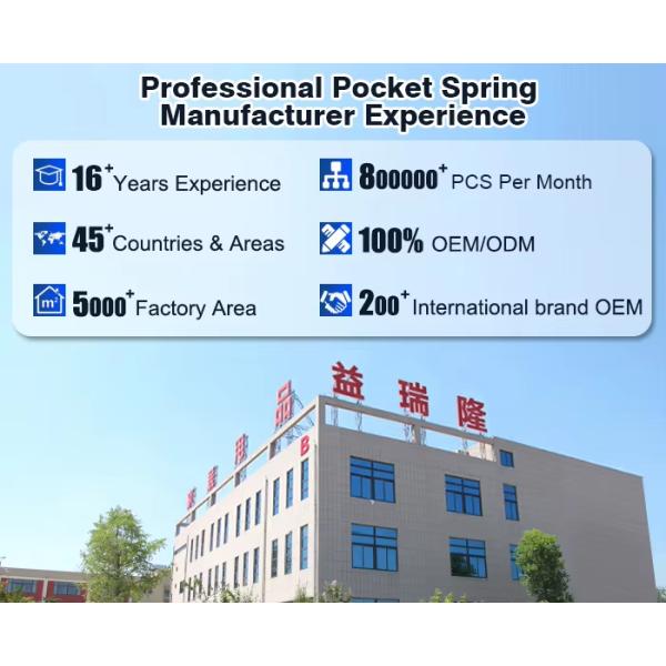 Supply Sofa Pocket Spring for Sofa Cushion with Customized Size and Color